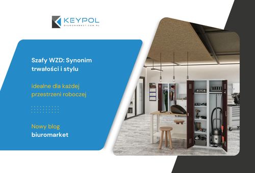 Wszystko, co musisz wiedzieć o szafach WZD od Malow